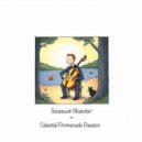 Saraswati Bhandari - Lunar Lights Ballad (Original Mix)