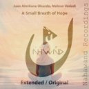 Juan Almisaana Obando, Mehran Vedadi - A Small Breath of Hope (Extended Mix)