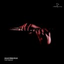Solid Principles - Breeze (Original Mix)