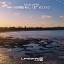 David Surok - Let You Go (Original Mix)