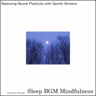 Sleep BGM Mindfulness - Nature\'s Symphony for a Restful Sleep and Dreams