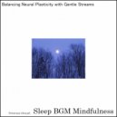 Sleep BGM Mindfulness - Dreamy Nights Bathed in Nature\'s Soundscapes (Original Mix)