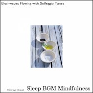 Sleep BGM Mindfulness - Sacred Dreams of Mental Health and Nature\'s Symphony