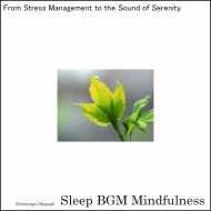 Sleep BGM Mindfulness - Nature\'s Tranquility Blends with Mindful Meditation for Deep Relaxation