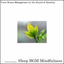 Sleep BGM Mindfulness - Echoing Calm, Nature\'s Lullaby for the Weary (Original Mix)