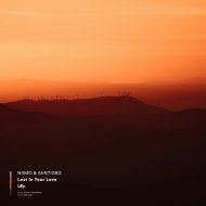 NIIMO, AVNT:GRD - Lost In Your Love