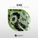 B1KO - Echoes of the Abyss ()