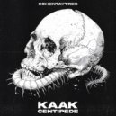 KAAK - Centipede (Original Mix)