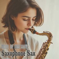 Mizuki Hirukawa - Soul Of Movie