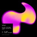 Elliott Matthews - Cherry Blossom (Original Mix)