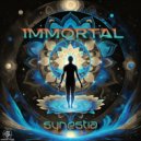 Synestia - Thought Process
