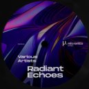 Anas M & Anirr & Xplausiv - Spring