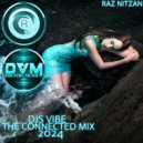 Djs Vibe - The Connected Mix 2024 (Raz Nitzan)