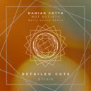 Damian Cotto - Not society (Barry Sound Remix)