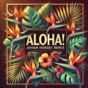 Cristobal Tapia De Veer - Aloha! (Johan Horses Remix)