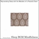 Sleep BGM Mindfulness - Adjusting Emotions with Sound Healing for Restful Sleep (Original Mix)