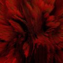 Rødder - Nefelibata