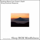 Sleep BGM Mindfulness - Serenade of Enchanting Rhythms for Cognitive Development (Original Mix)