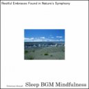 Sleep BGM Mindfulness - Dreaming Deep with the Lullabies of Brain Harmony for Rest (Original Mix)