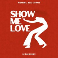 WizTheMc, bees & honey - Show Me Love (Dj Dark Remix)