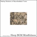 Sleep BGM Mindfulness - Finding Solace in the Echoes of Forest Ambience (Original Mix)